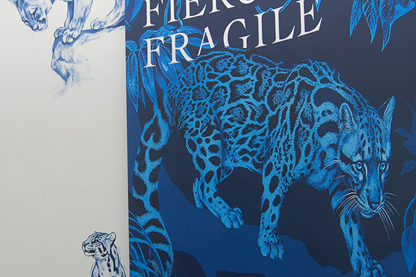 fragile